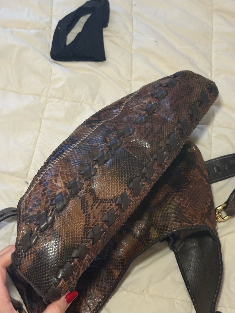 Python Gucci New Jackie - Picture 9 of 9